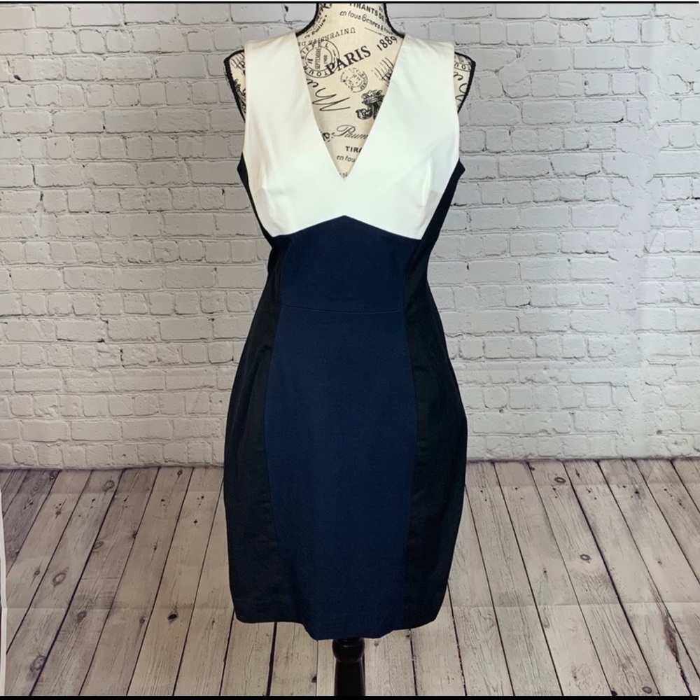 Banana Republic Blue/Black Sloan Dress